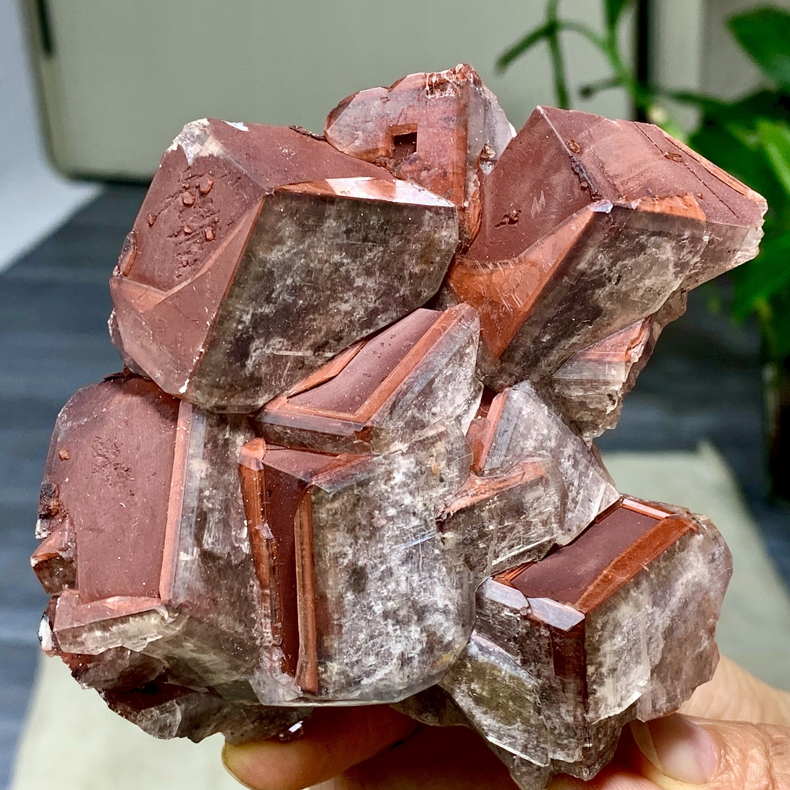 415G Rare Natural Chocolate Calcite Specimen cluster rough mineral sample