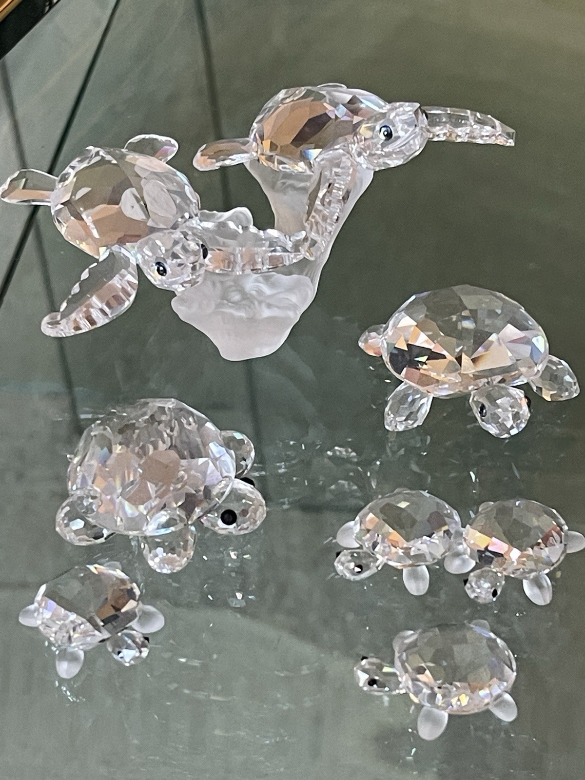 swarovski turtles,aquatic world#826480,2 tortoises 1 1/8 swarovski turtles,aquatic world#826480,2 tortoises 1 1/8