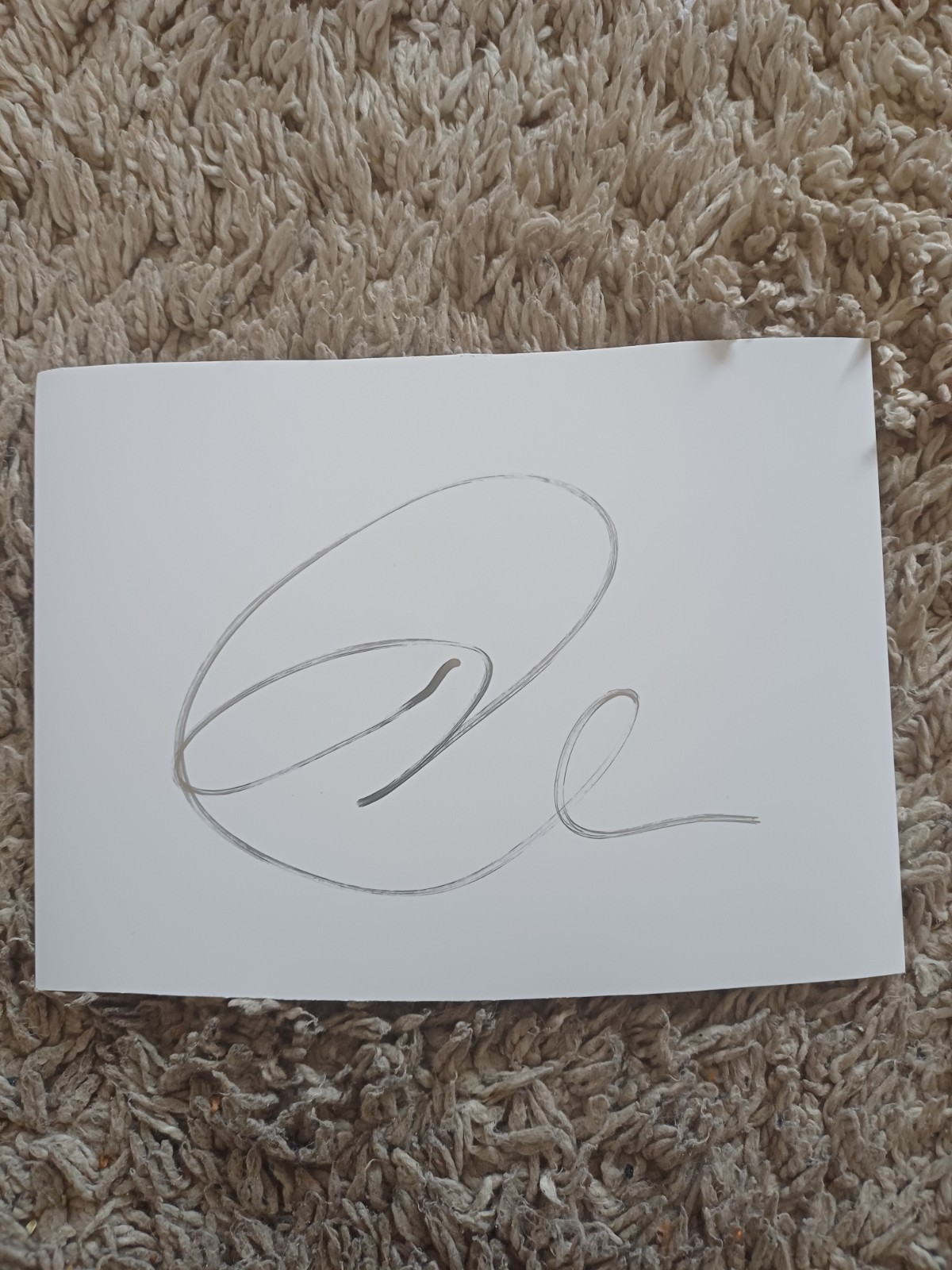 Jon Anderson Hand Signed. (Legendary Yes Lead Singer).