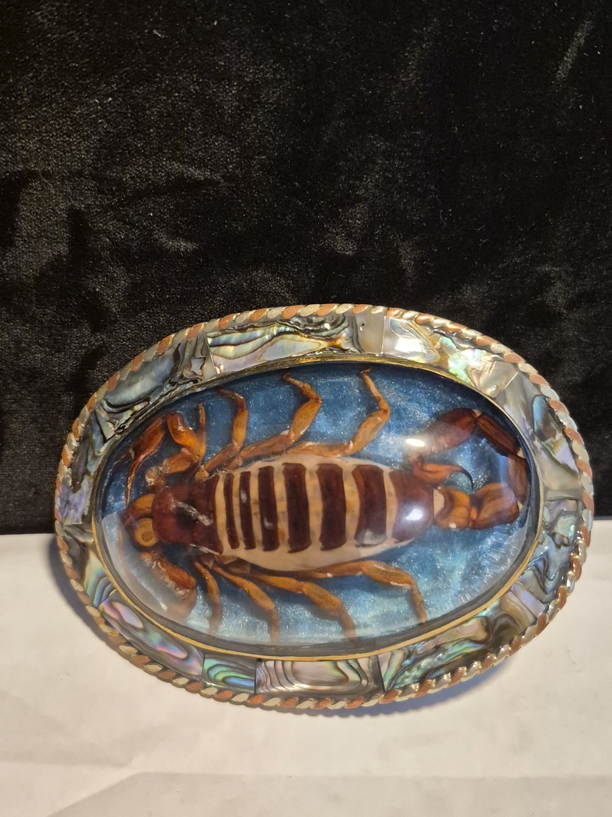 Vintage Mexican Real Scorpion Taxidermy Abalone Inlay Belt Buckle Silver Tone