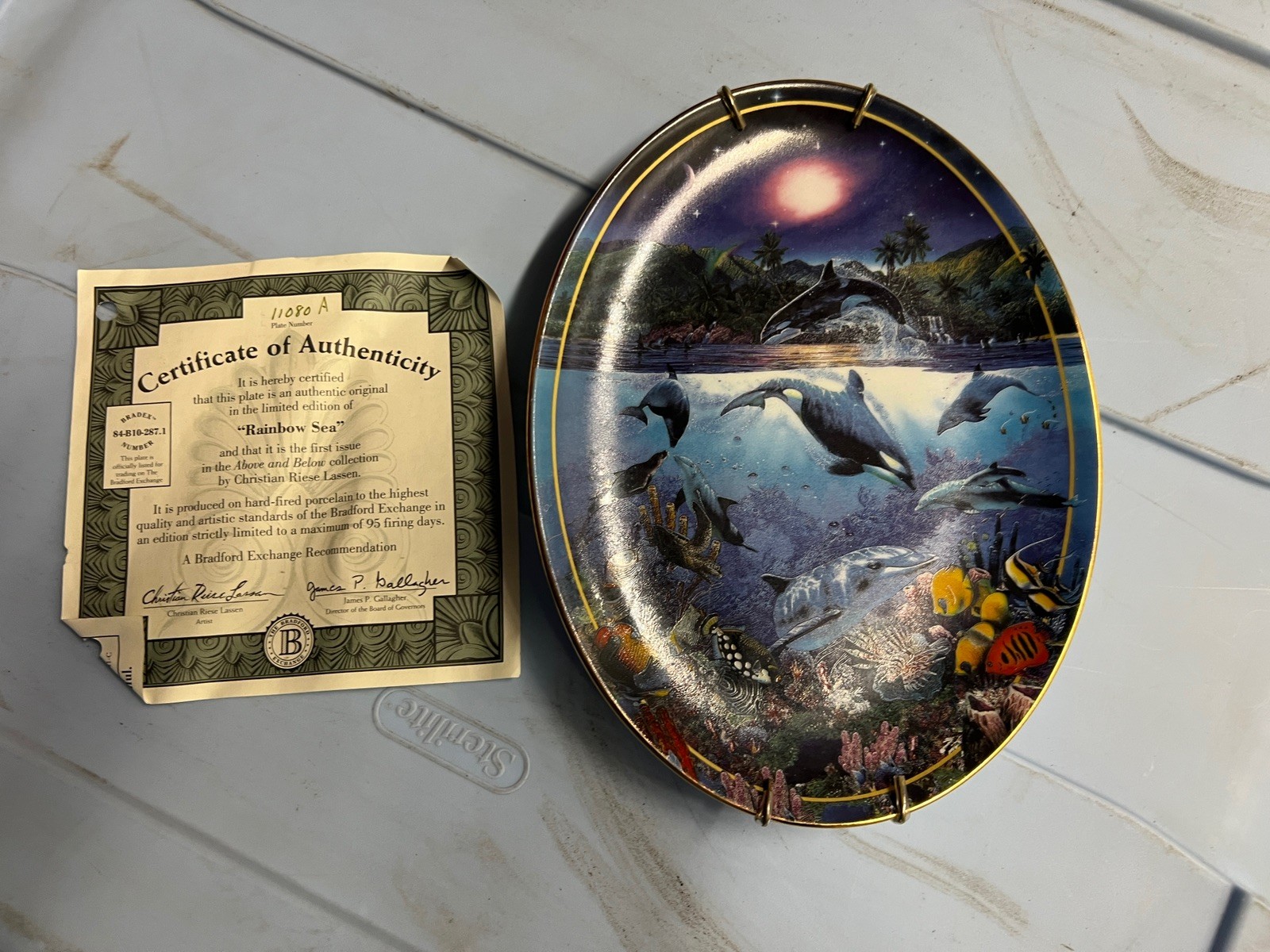 Rainbow Sea 1996 Bradford Exchange Above and Below Oval Collector Plate