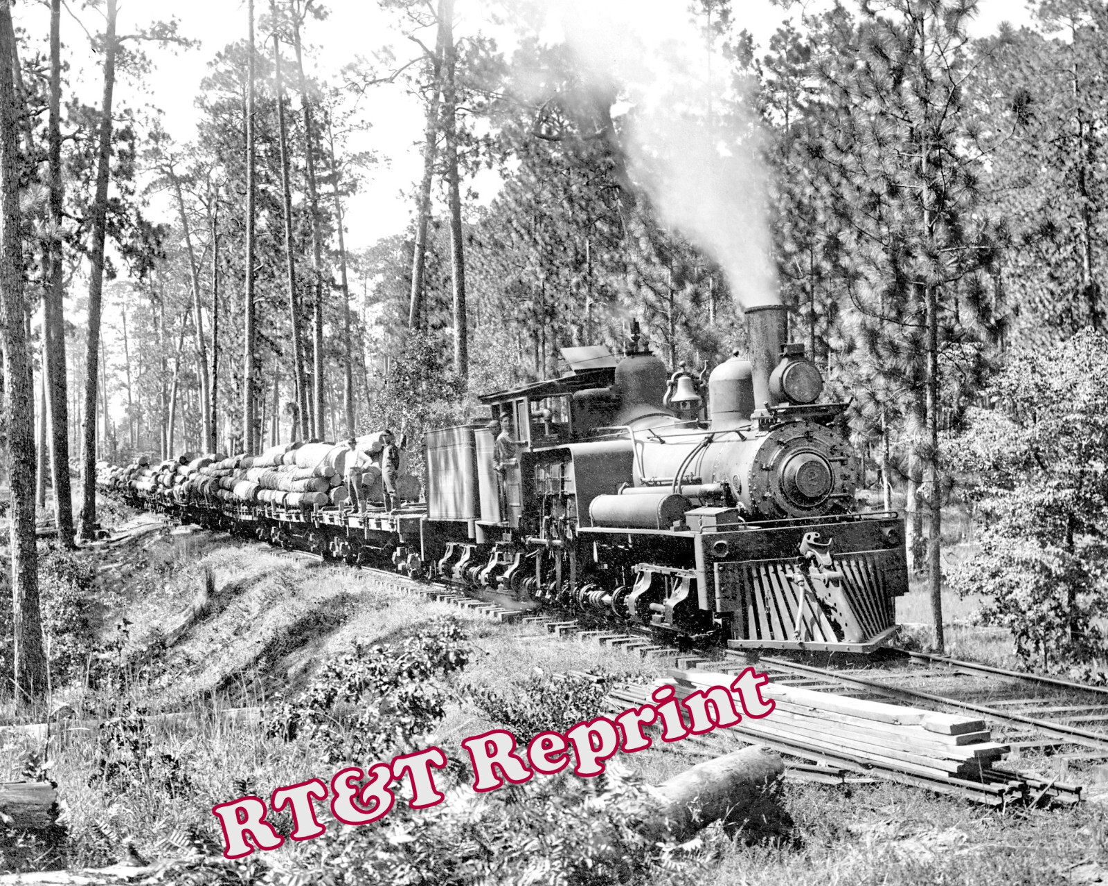 Steam Logging Train Photo- Hauling Timber in Pine Forest Year 1910 Steam Logging Train Photo- Hauling Timber in Pine Forest Year 1910