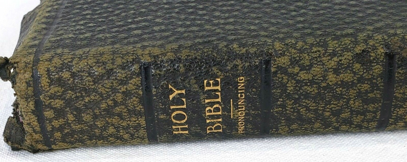 The Holman New Self-Pronouncing Sunday-School Teacher\'s Holy Bible 1895 Vintage The Holman New Self-Pronouncing Sunday-School Teacher\'s Holy Bible 1895 Vintage