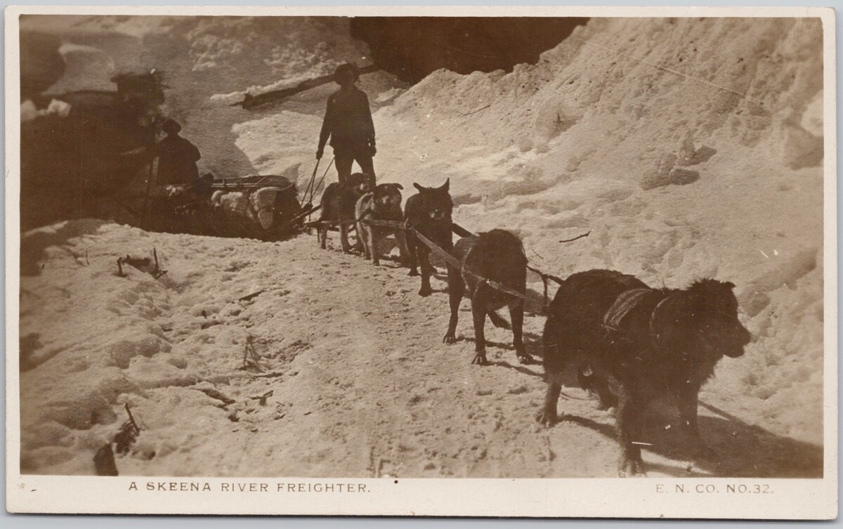 Skeena River Freighter Sled Dogs BC British Columbia E.N. Co RPPC Postcard H68
