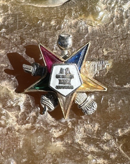Vintage 10K Yellow + White Gold Order of the Eastern Star Stone Masonic Pin