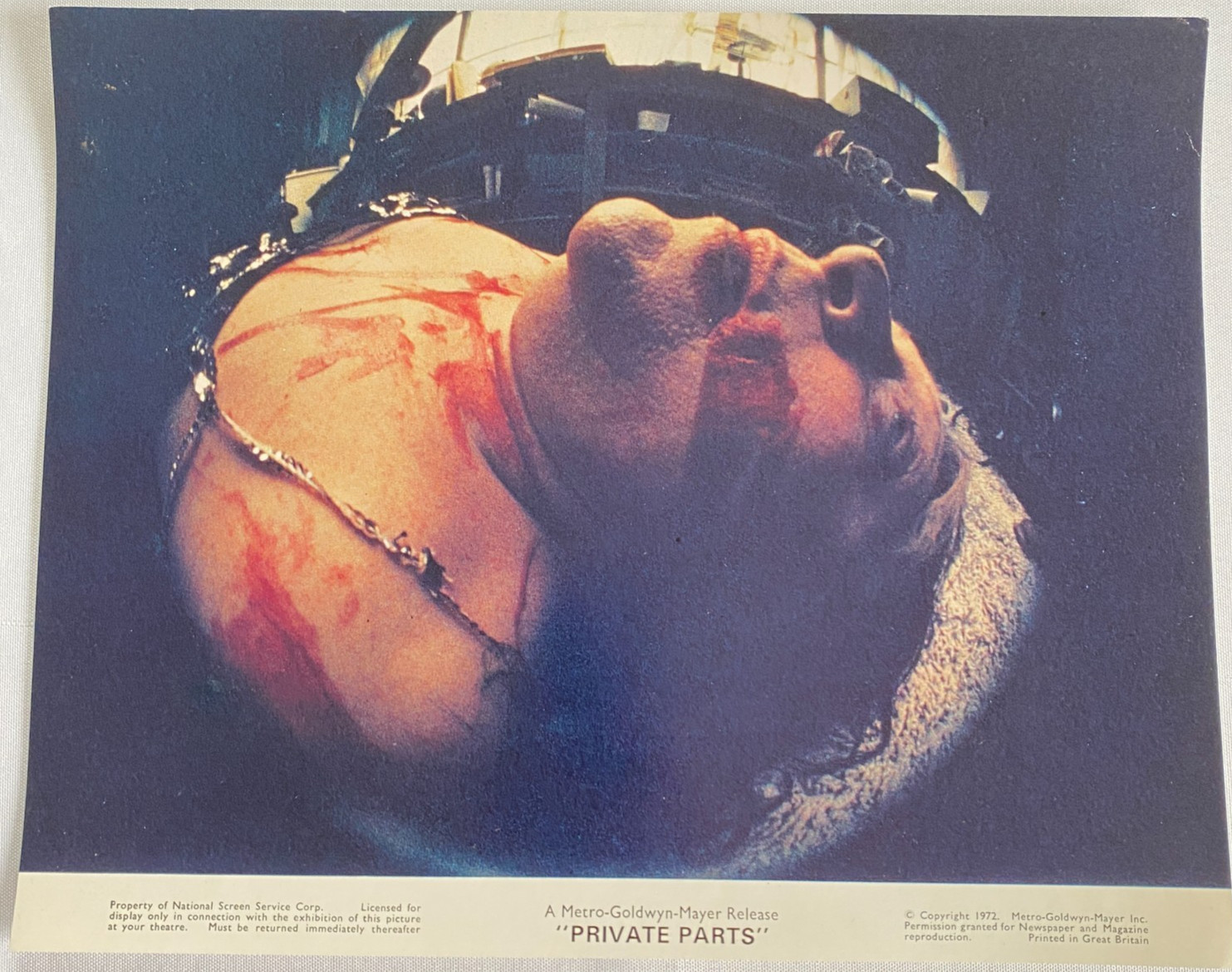 Vtg 1972 Private Parts Metro Goldwyn-Mayer Thriller-Horror Press Photo 8x10 Vtg 1972 Private Parts Metro Goldwyn-Mayer Thriller-Horror Press Photo 8x10