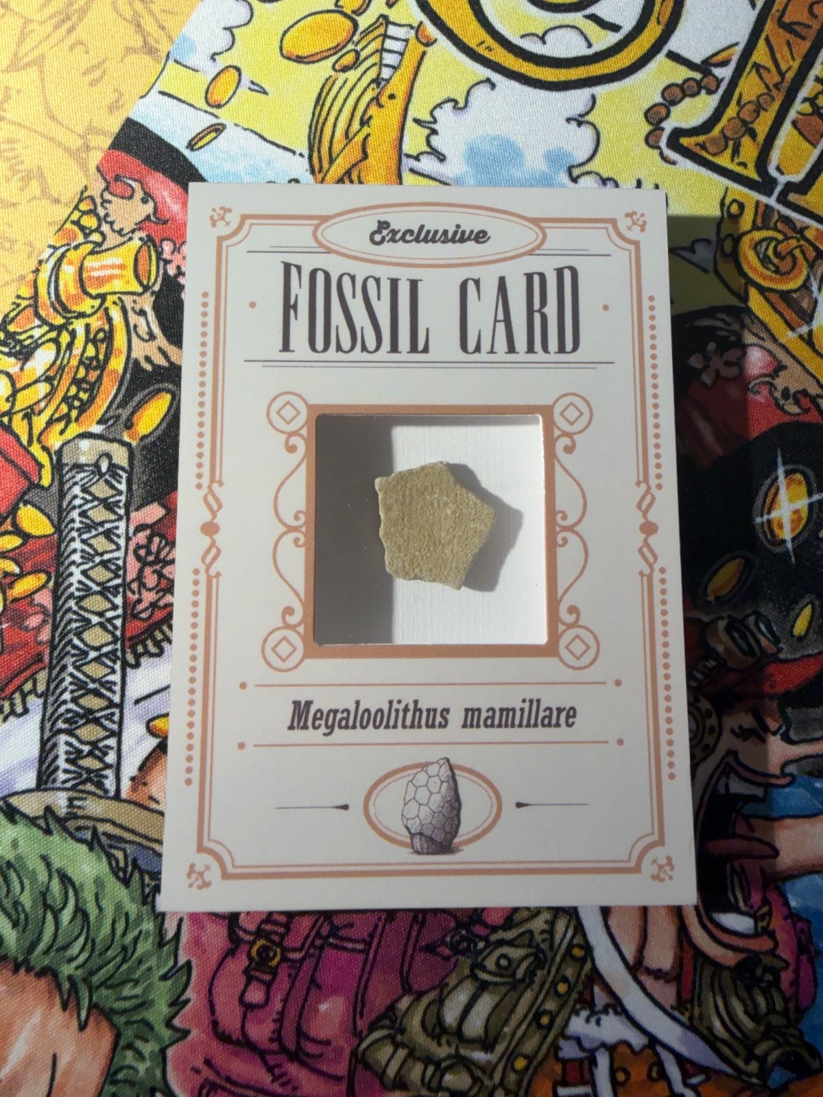 Fossil Card - Mammillary Megaloolithus - Dinosaurs Tomodachi Press