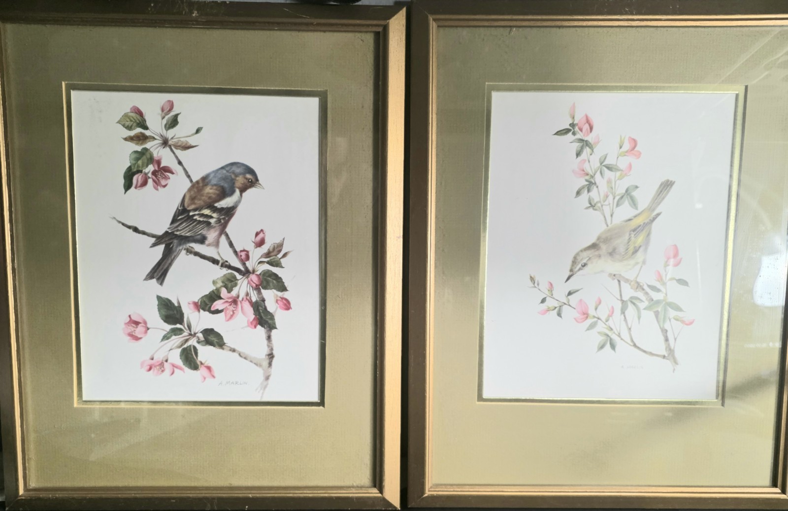 Lot Of 2 Signed Vintage Matted - Framed A.Marlin Bird Art Print 15x12” SW18