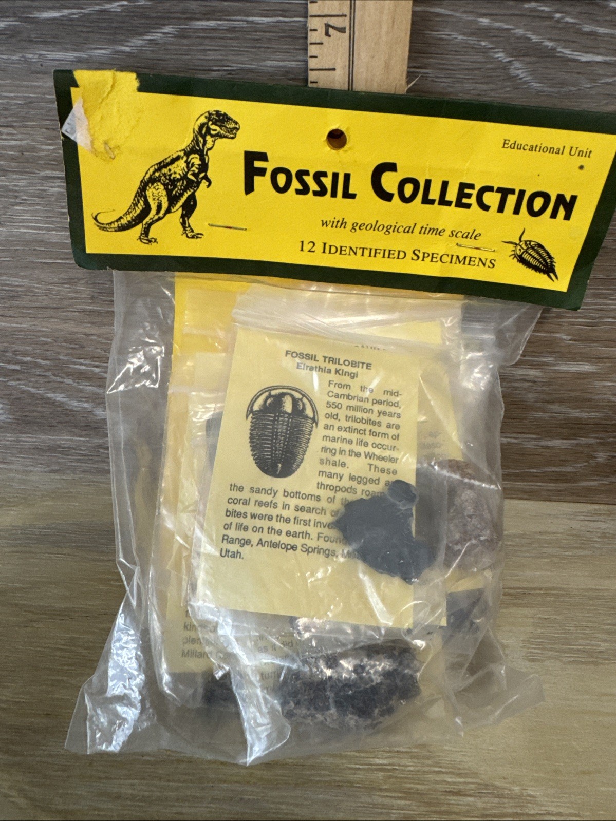 12 Piece Fossil Collection - 12 Specimens w/ Fact Sheet Great for Starting Out 12 Piece Fossil Collection - 12 Specimens w/ Fact Sheet Great for Starting Out