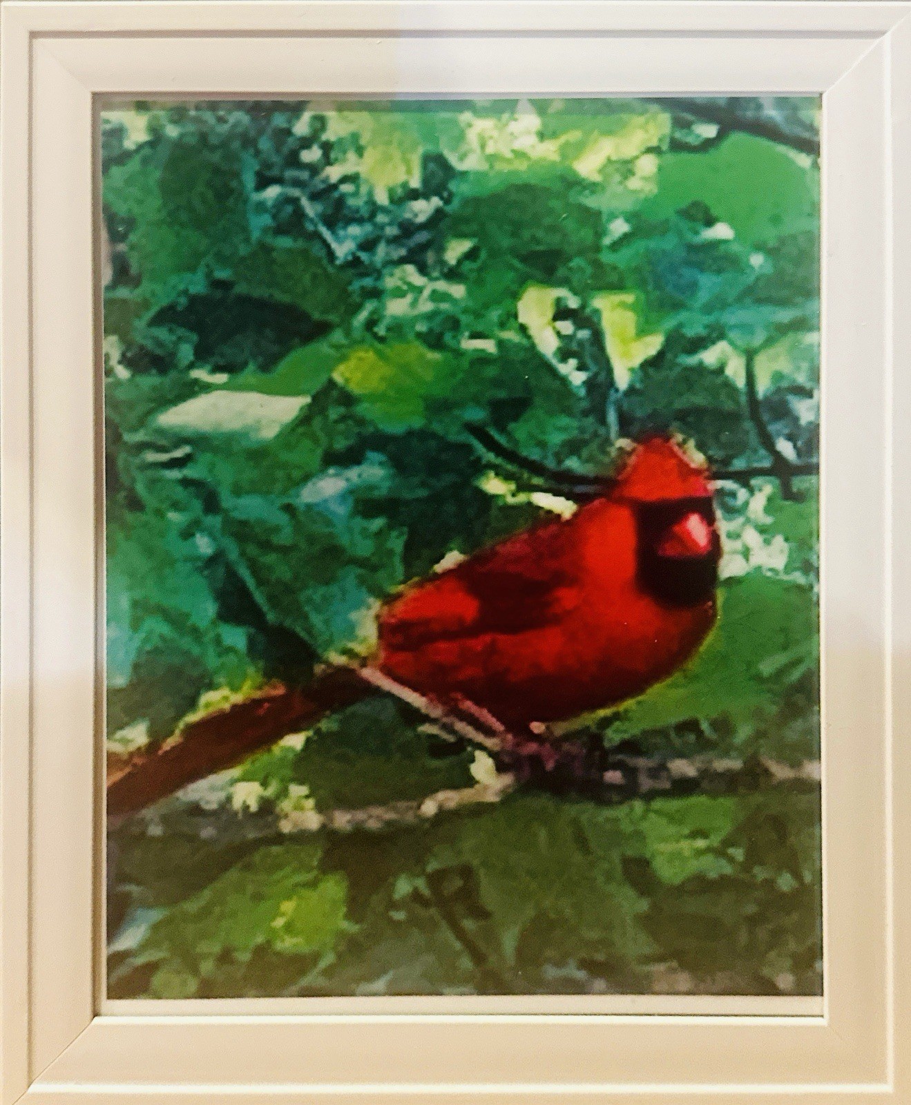8x10 Red Cardinal In Tree (No Frame) Photography Wall Art/Color Photo Print