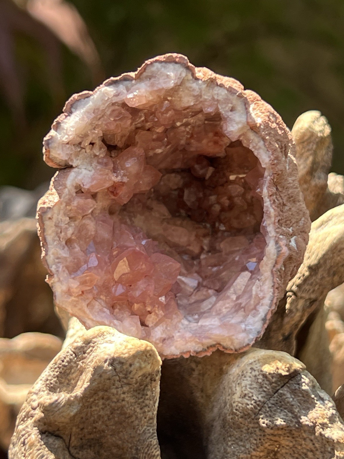 Pink Amethyst Geode Rose Rare AAA+ Argentinian Patagonian Rare Fine Grade 4