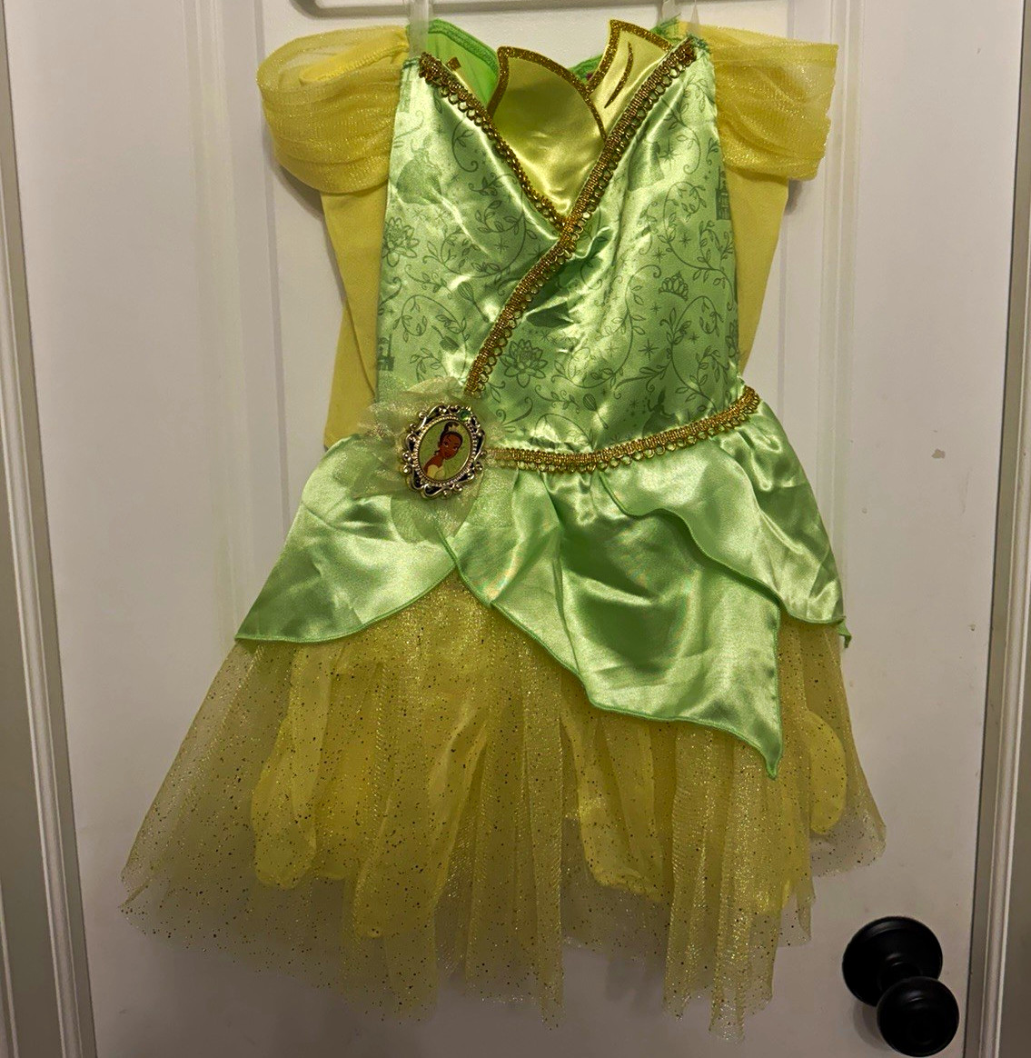 Disney Princess Tiana Costume Dress size 5/6