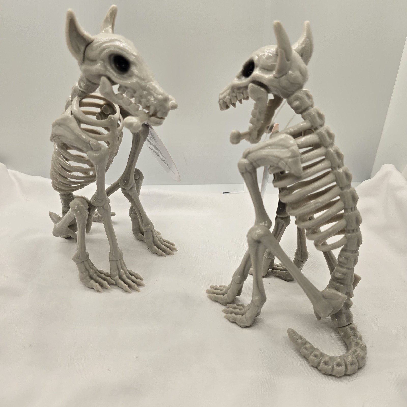 Set Of Creepy Dog Skeleton Halloween Bones Skull Zombie Toy Anatomy Sitting Prop Set Of Creepy Dog Skeleton Halloween Bones Skull Zombie Toy Anatomy Sitting Prop