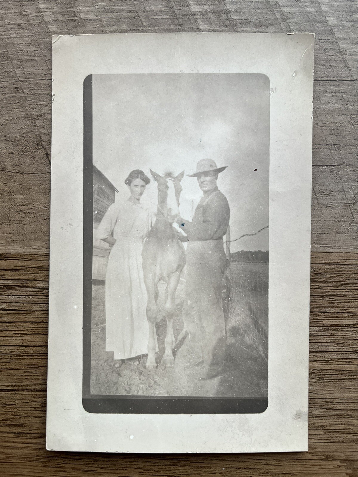1913 Jake, Emma & Horse, Shakopee, MN - Antique Real Photo Postcard RPPC 1913 Jake, Emma & Horse, Shakopee, MN - Antique Real Photo Postcard RPPC