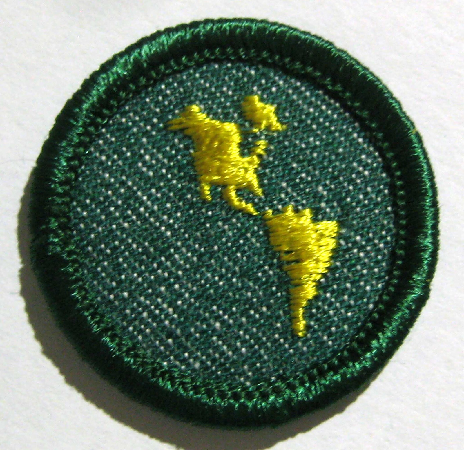 RARE Vintage 1955-1960 Girl Scout WESTERN HEMISPHERE BADGE Map Globe Patch