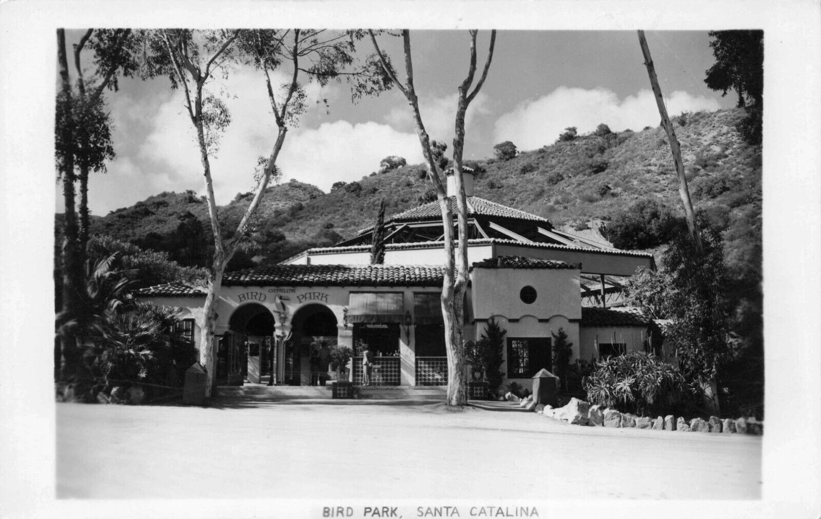 RPPC Santa Catalina Island Bird Park Unused 1940s California Photo Postcard