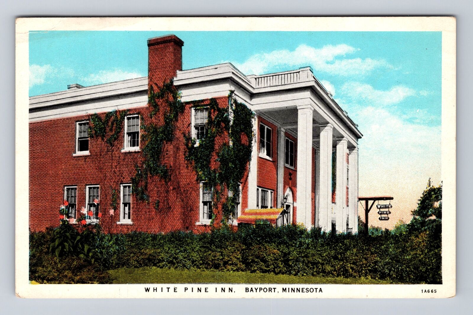 Bayport MN-Minnesota, White Pine Inn Advertising, Antique, Vintage Postcard
