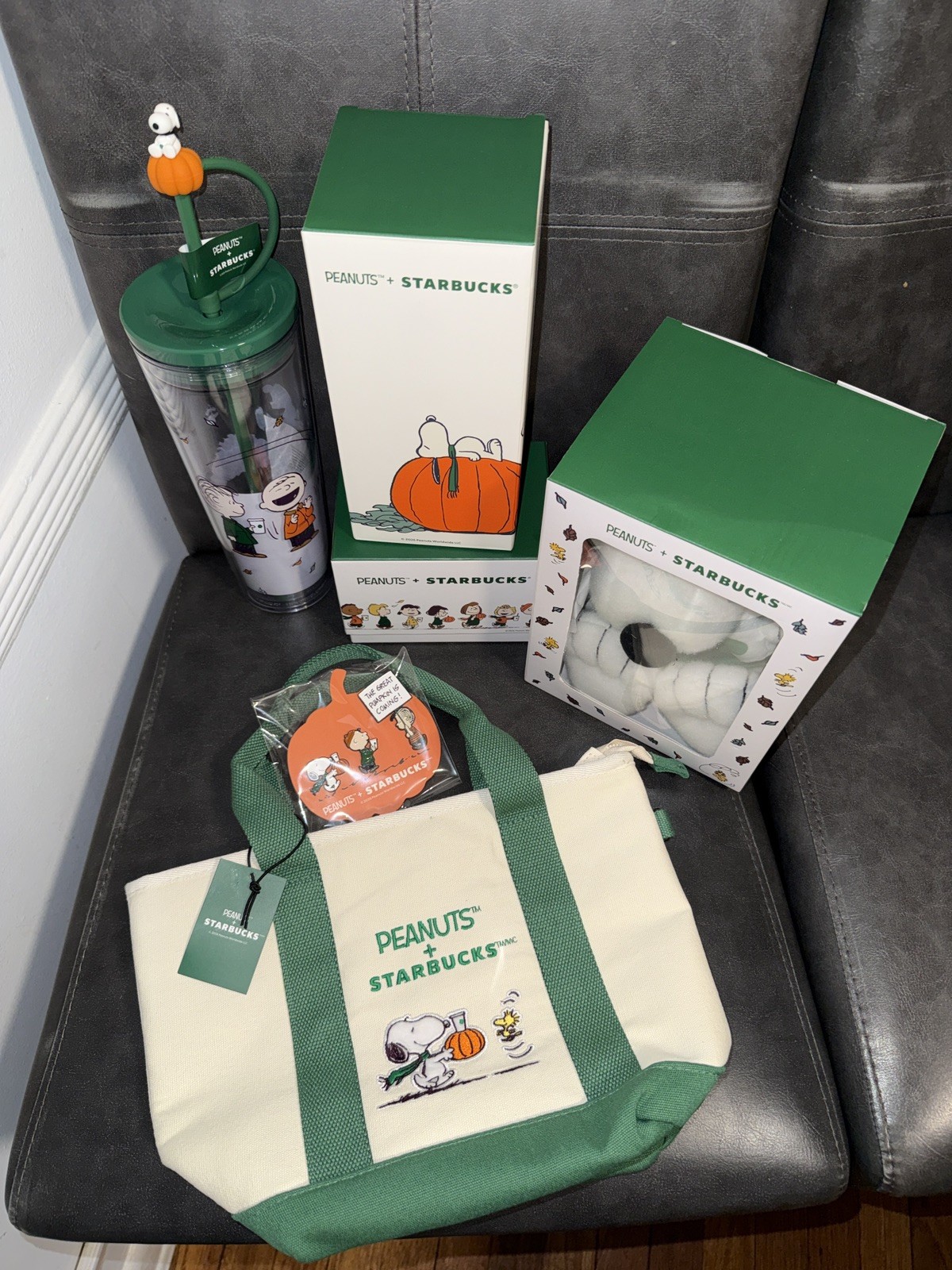 Starbucks x Peanuts 6 pc Set Straw Cup, mug, tumbler, pins, tote, snoopy plush Starbucks x Peanuts 6 pc Set Straw Cup, mug, tumbler, pins, tote, snoopy plush