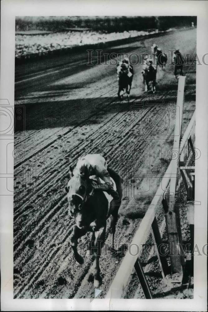 1950 Press Photo Hialeah races Florida Rash Night wins vs Big Juice, Cervantes 1950 Press Photo Hialeah races Florida Rash Night wins vs Big Juice, Cervantes