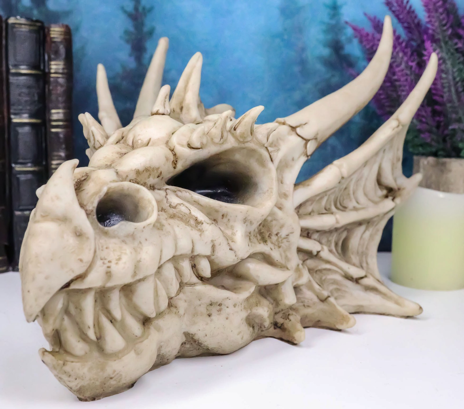 Ebros Elder Jurassic Dragon Head Skull Realistic Fossil Statue 9 Ebros Elder Jurassic Dragon Head Skull Realistic Fossil Statue 9