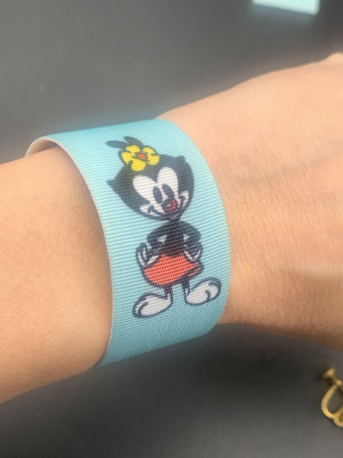 Four 1995 Animaniacs Fabric Slap Bracelets  Warner Brothers