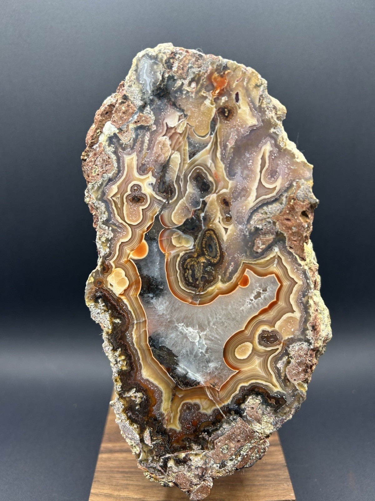 Unique “Headless Chicken” Laguna Agate Large Polished Half Incredible Banding Unique “Headless Chicken” Laguna Agate Large Polished Half Incredible Banding