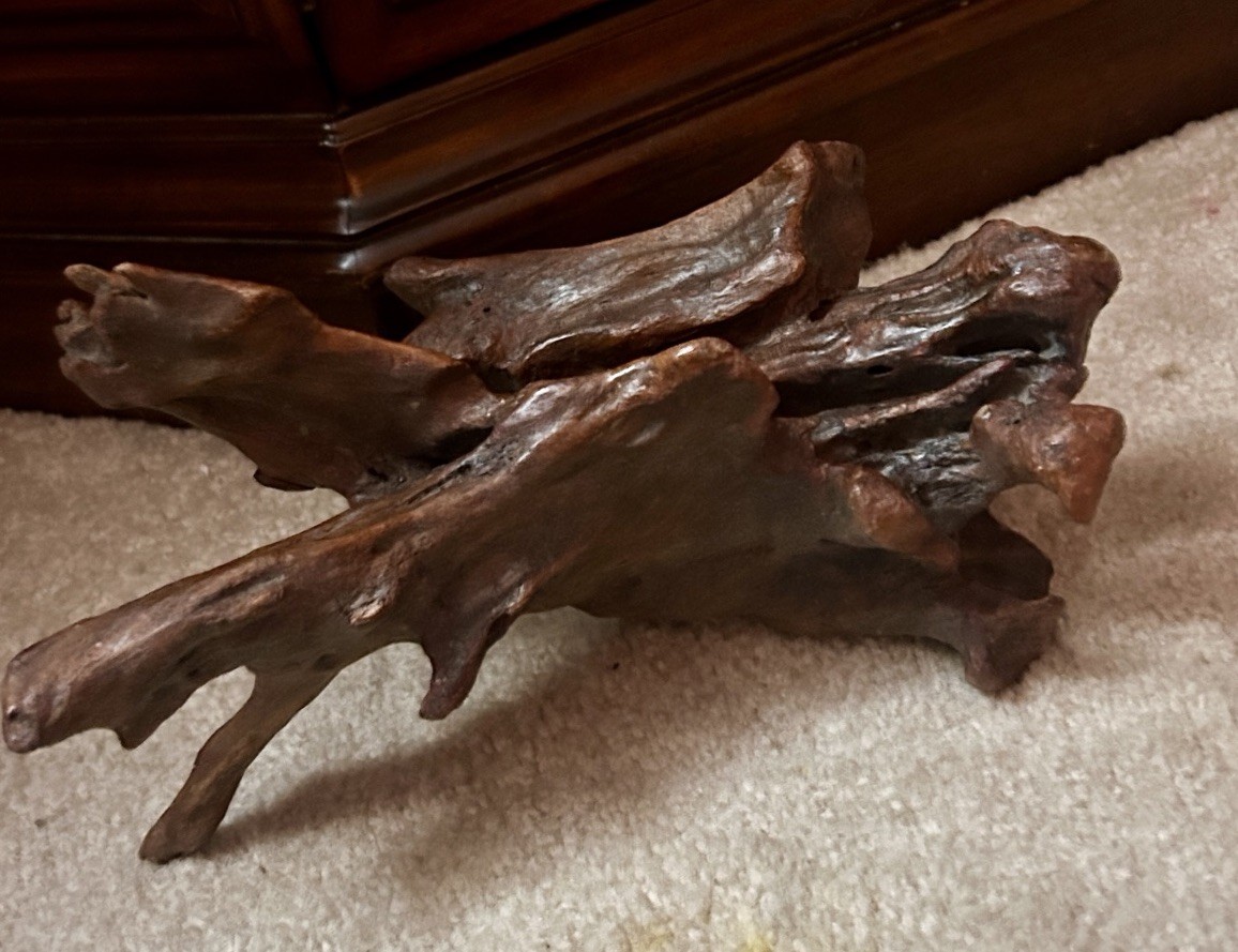 Vintage Asian Japanese Rootwood Art Sculpture Lacquered Wood Tree Root Vintage Asian Japanese Rootwood Art Sculpture Lacquered Wood Tree Root