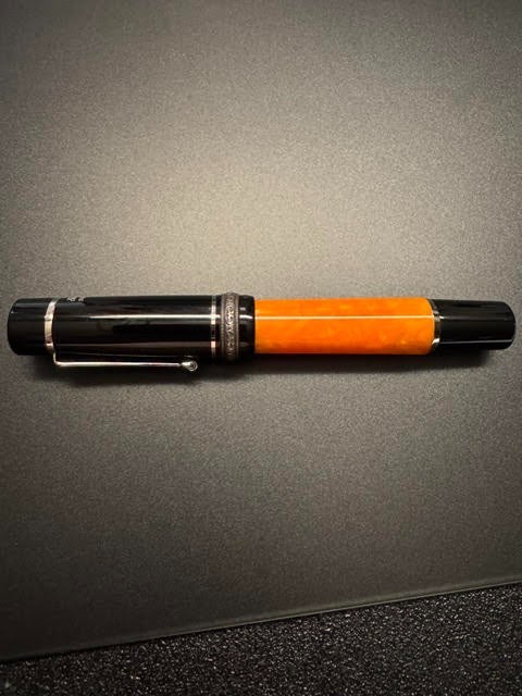 Delta Dolcevita Special Edition Millennium Fountain Pen 18K Nib with Silver Trim Delta Dolcevita Special Edition Millennium Fountain Pen 18K Nib with Silver Trim