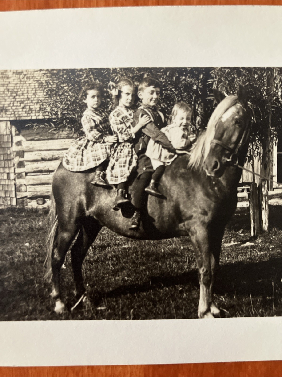 Adorable Kids On Horse RPPC Real Photo Postcard Stetsonville Wisconsin