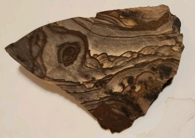 Rare AAA Grade Blue Biggs Picture Jasper High Quality ROUGH, From OR. (68 grams) Rare AAA Grade Blue Biggs Picture Jasper High Quality ROUGH, From OR. (68 grams)
