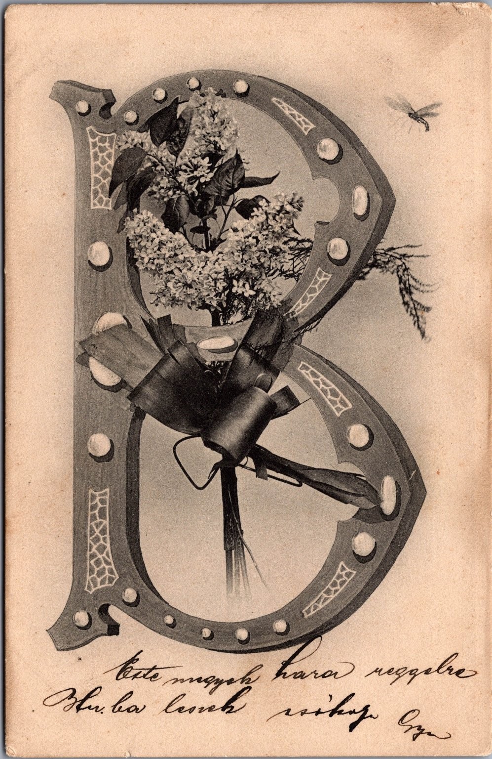 Vintage Ornate Letter B Lilacs Dragonfly Hungarian Postcard Brasso c1900s Vintage Ornate Letter B Lilacs Dragonfly Hungarian Postcard Brasso c1900s