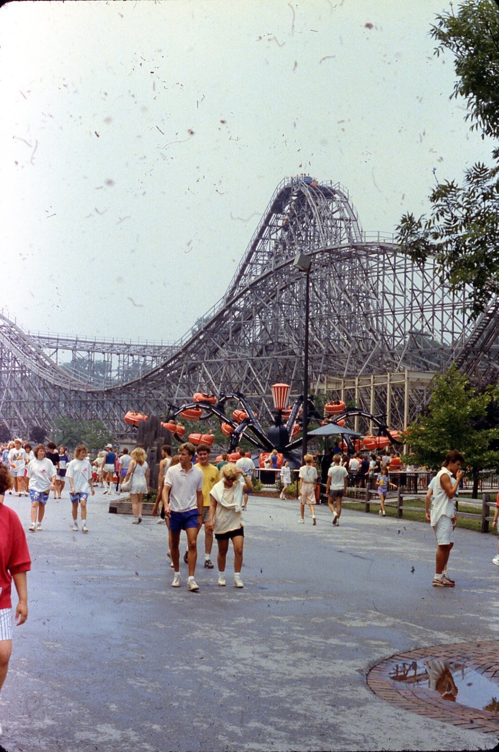 SL39 Slide 1980's Cedar Point Amusement Park Wooden Roller 749a SL39 Slide 1980's Cedar Point Amusement Park Wooden Roller 749a