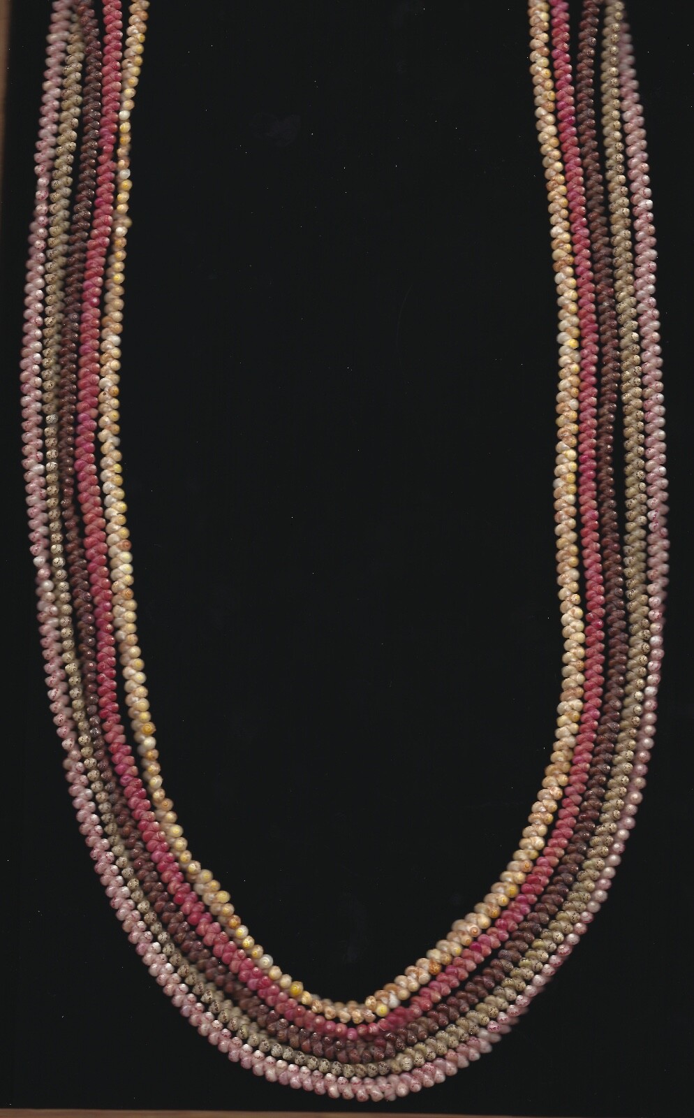 HAWAIIAN 100% NIIHAU 38-1/2 INCH 5-STRAND COLLECTOR\'S KAHELELANI SHELL LEI HAWAIIAN 100% NIIHAU 38-1/2 INCH 5-STRAND COLLECTOR\'S KAHELELANI SHELL LEI