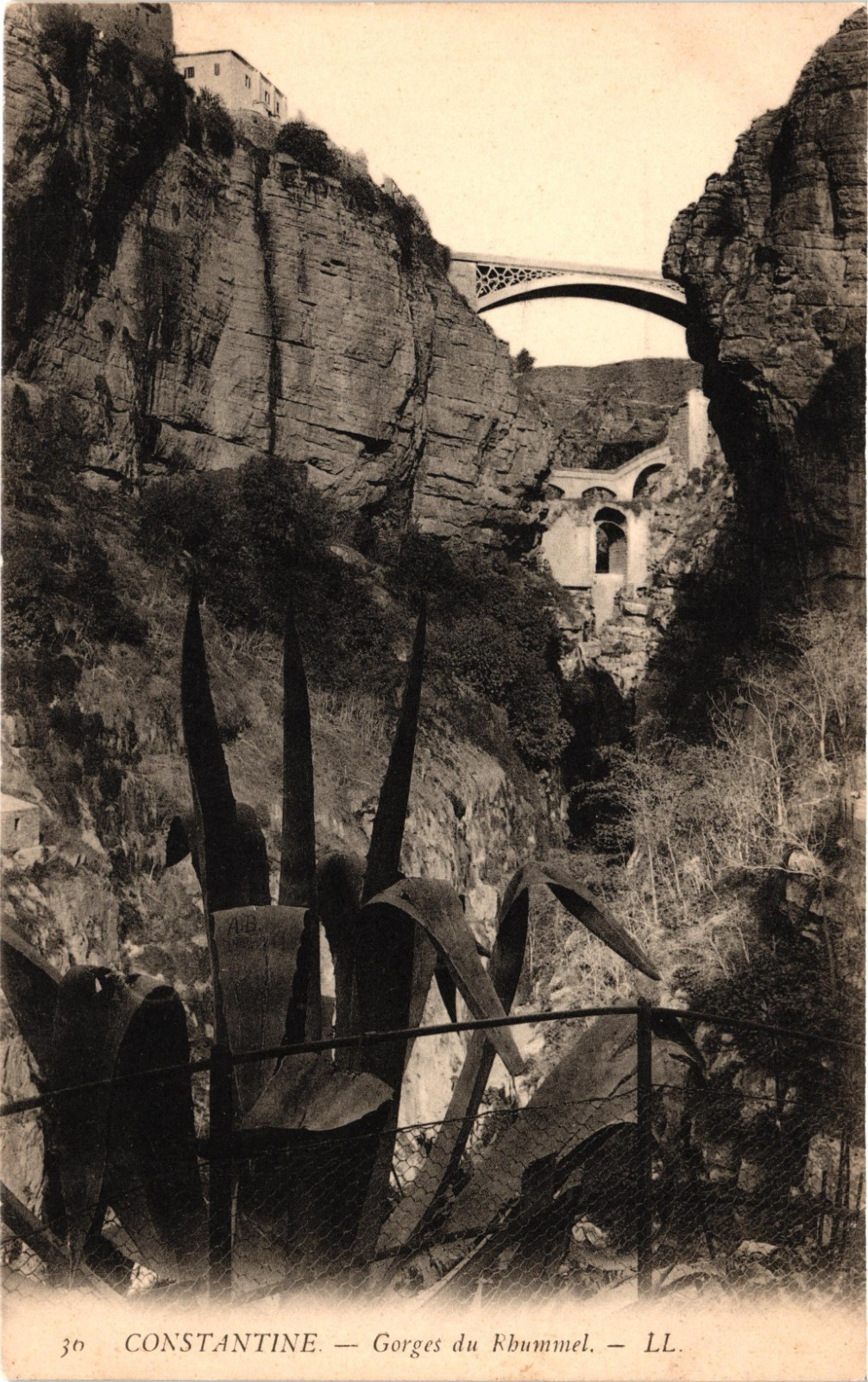 ALGERIA Constantine ~ Rhummel Gorges & City of Bridges Vintage Postcard