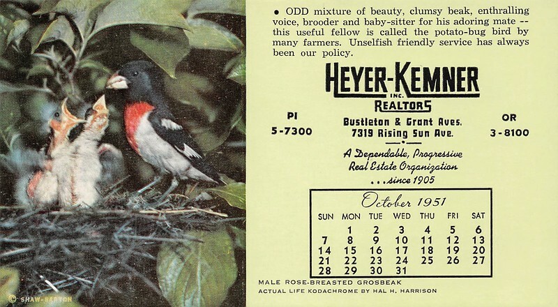 Pa Male Rose Breasted Grosbeak Heyer Kemner Realtors Calendar Sm Blotter
