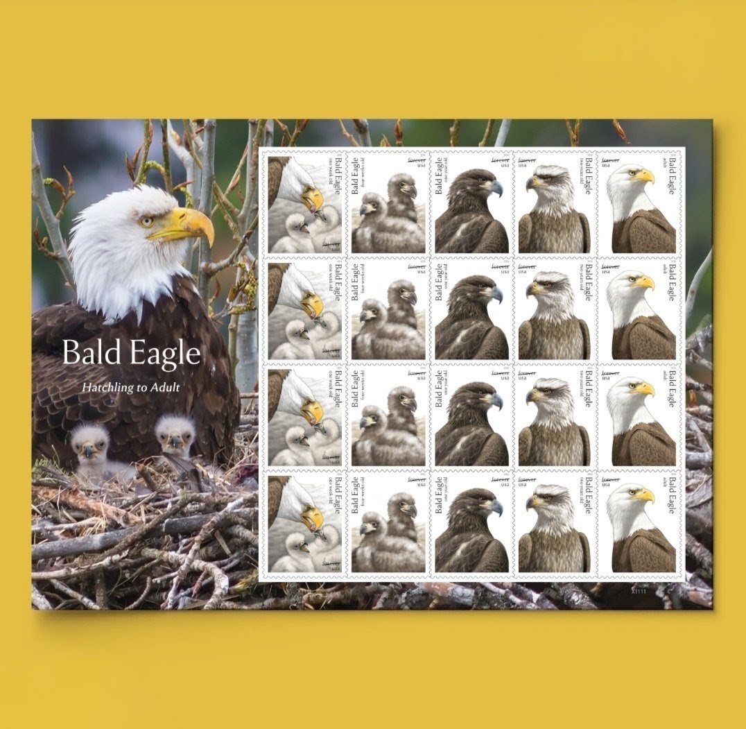2026 Bald Eagle Forever Stamps Sheet of 20 Nature, Birds, Eagle 2026 Bald Eagle Forever Stamps Sheet of 20 Nature, Birds, Eagle