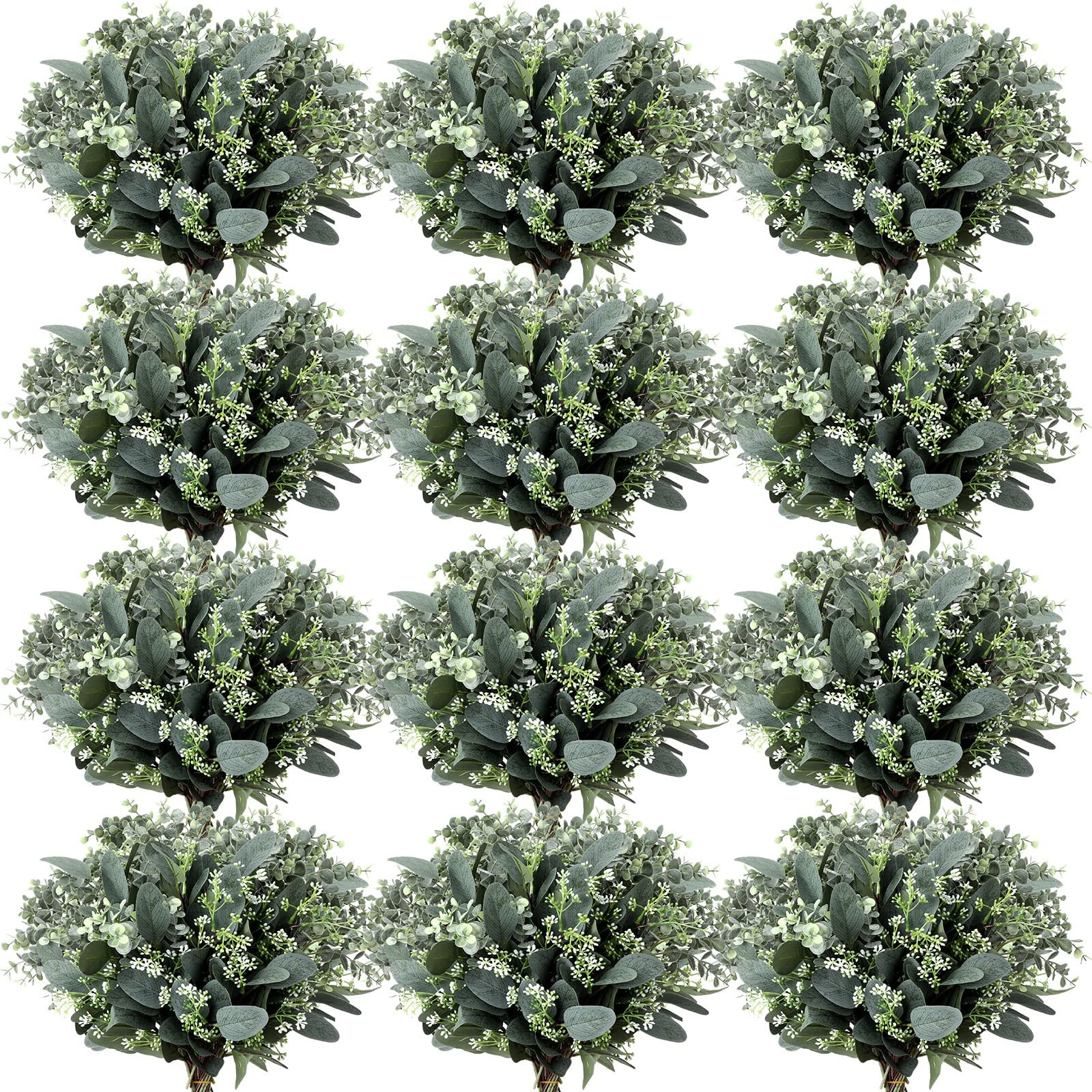 Janinka Mixed Eucalyptus Leaves Stems 60 Pcs White Seeds Silver Dollar for