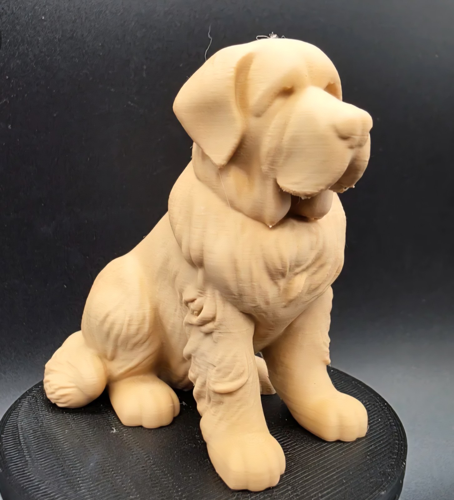 St Bernard Statue St Bernard Statue