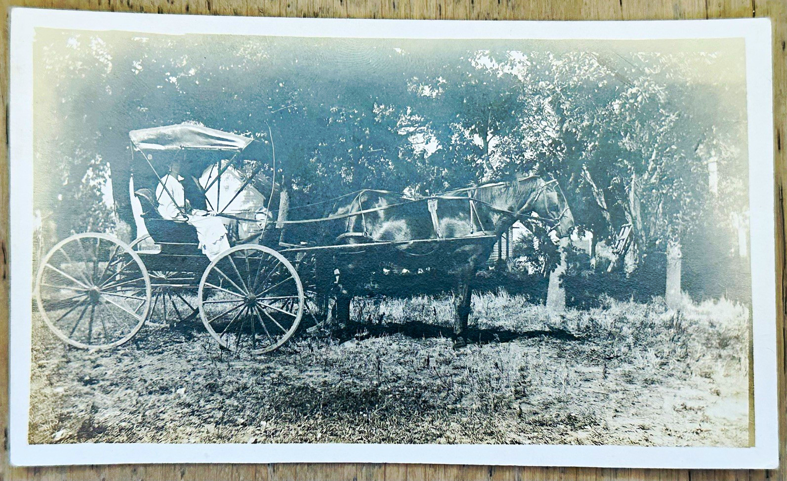 Vintage RPPC Horse and Buggy Bee Lucy Jessie Stickley Named Family AZO 1910s Vintage RPPC Horse and Buggy Bee Lucy Jessie Stickley Named Family AZO 1910s
