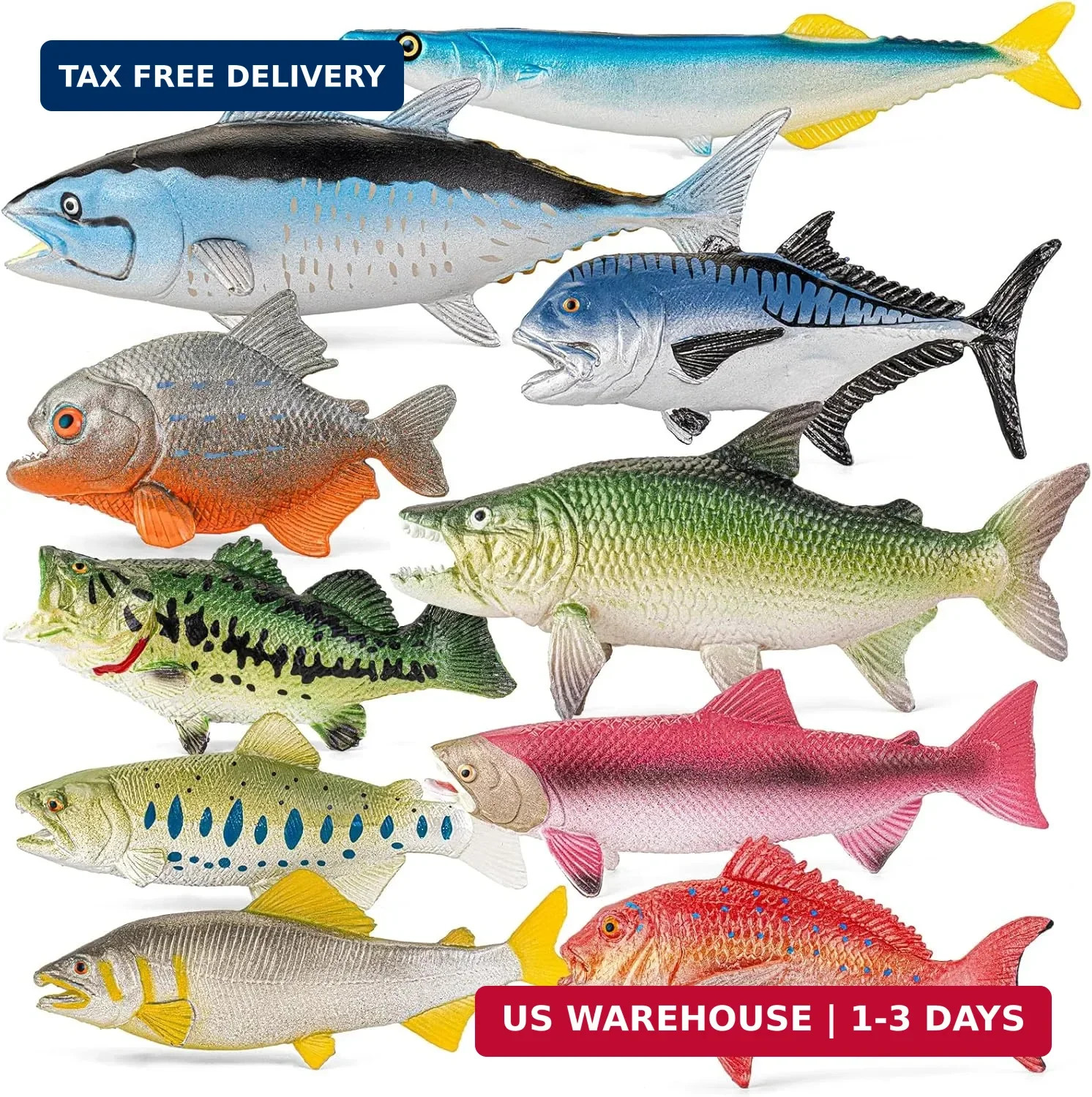 10PCS Ocean & Freshwater Fish Toy Figures Set, Fake Fish, Fake Fish Figurines, E 10PCS Ocean & Freshwater Fish Toy Figures Set, Fake Fish, Fake Fish Figurines, E