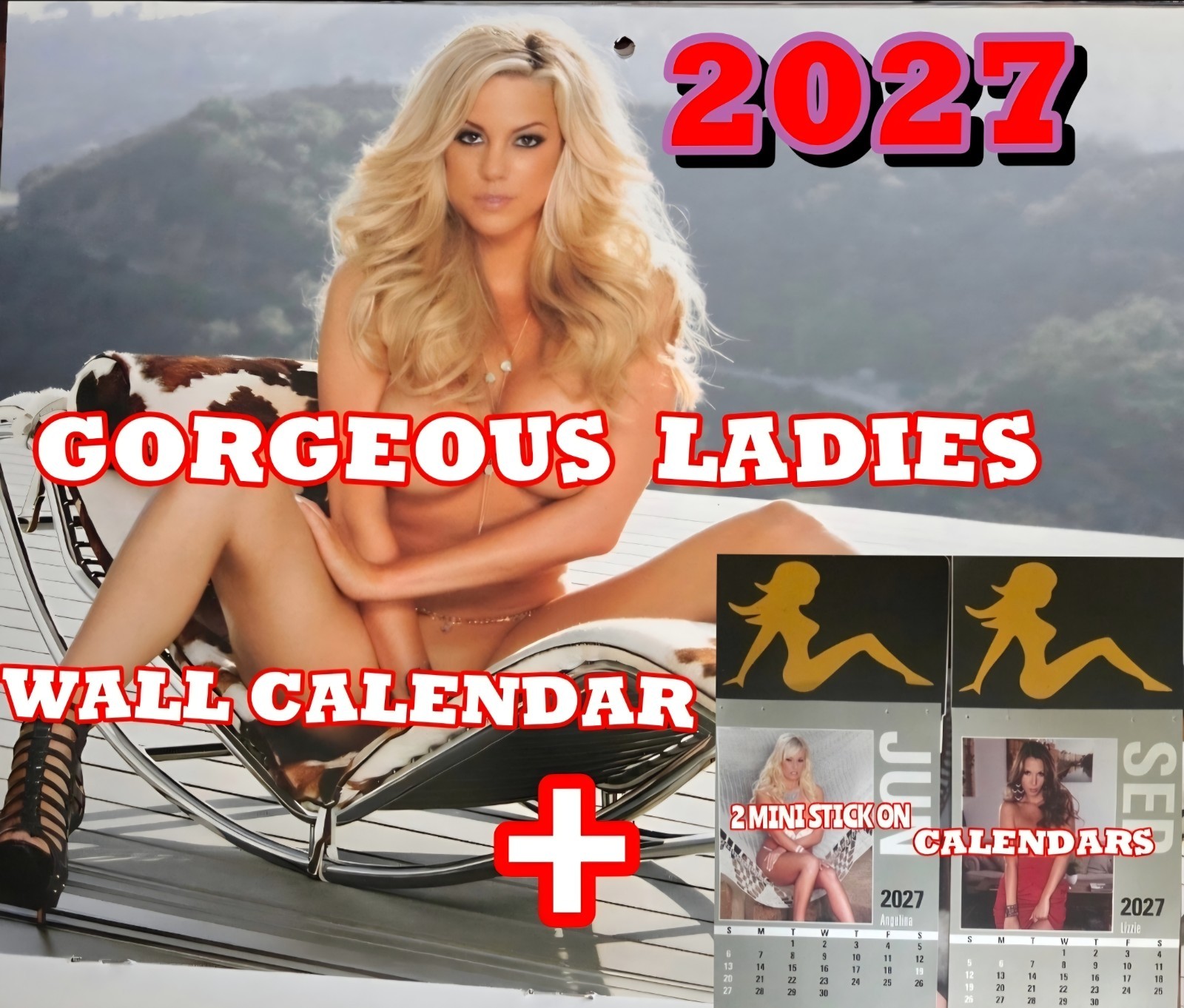 2027 Beautiful Girls Wall Calendar  +  2 Mini Calendars..  REAL WOMEN, NOT AI