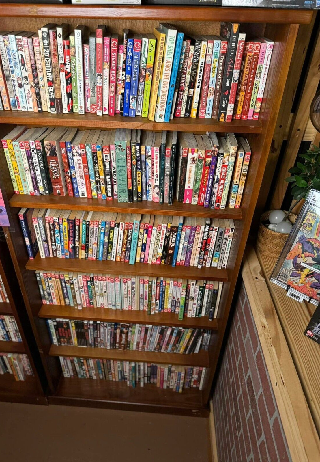 Manga Book Lot Mixed English Ten 10 Book Random Mix Anime Manga Book Lot Mixed English Ten 10 Book Random Mix Anime