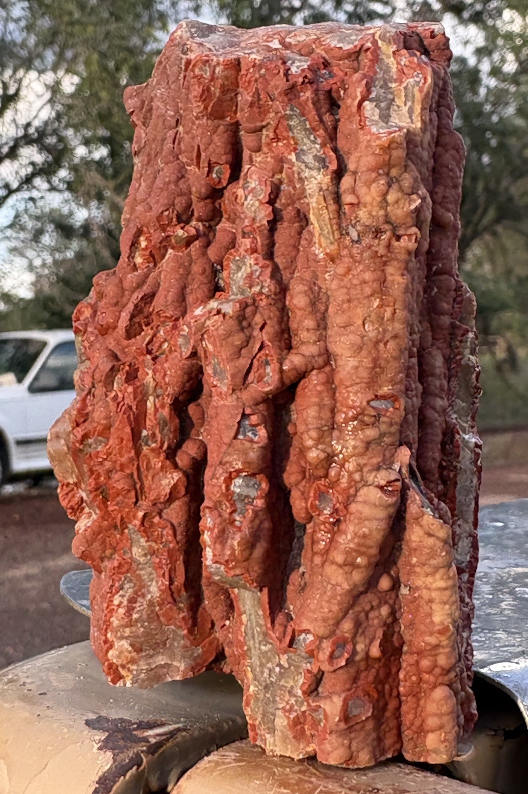☘️RR⛏️: Rare Druzy Red Chalcedony Arizona Petrified Wood, 6.6 Oz. 🌈 ☘️RR⛏️: Rare Druzy Red Chalcedony Arizona Petrified Wood, 6.6 Oz. 🌈