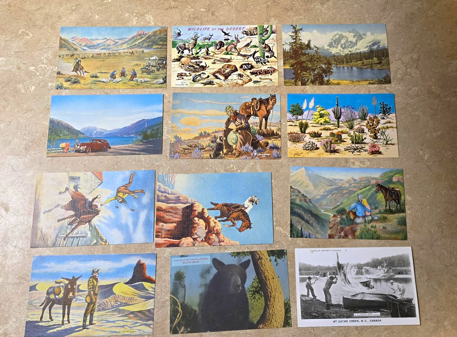 Lot of 12 Vintage Illustrated Western Scenic Postcards Wildlife Fishing Lot of 12 Vintage Illustrated Western Scenic Postcards Wildlife Fishing