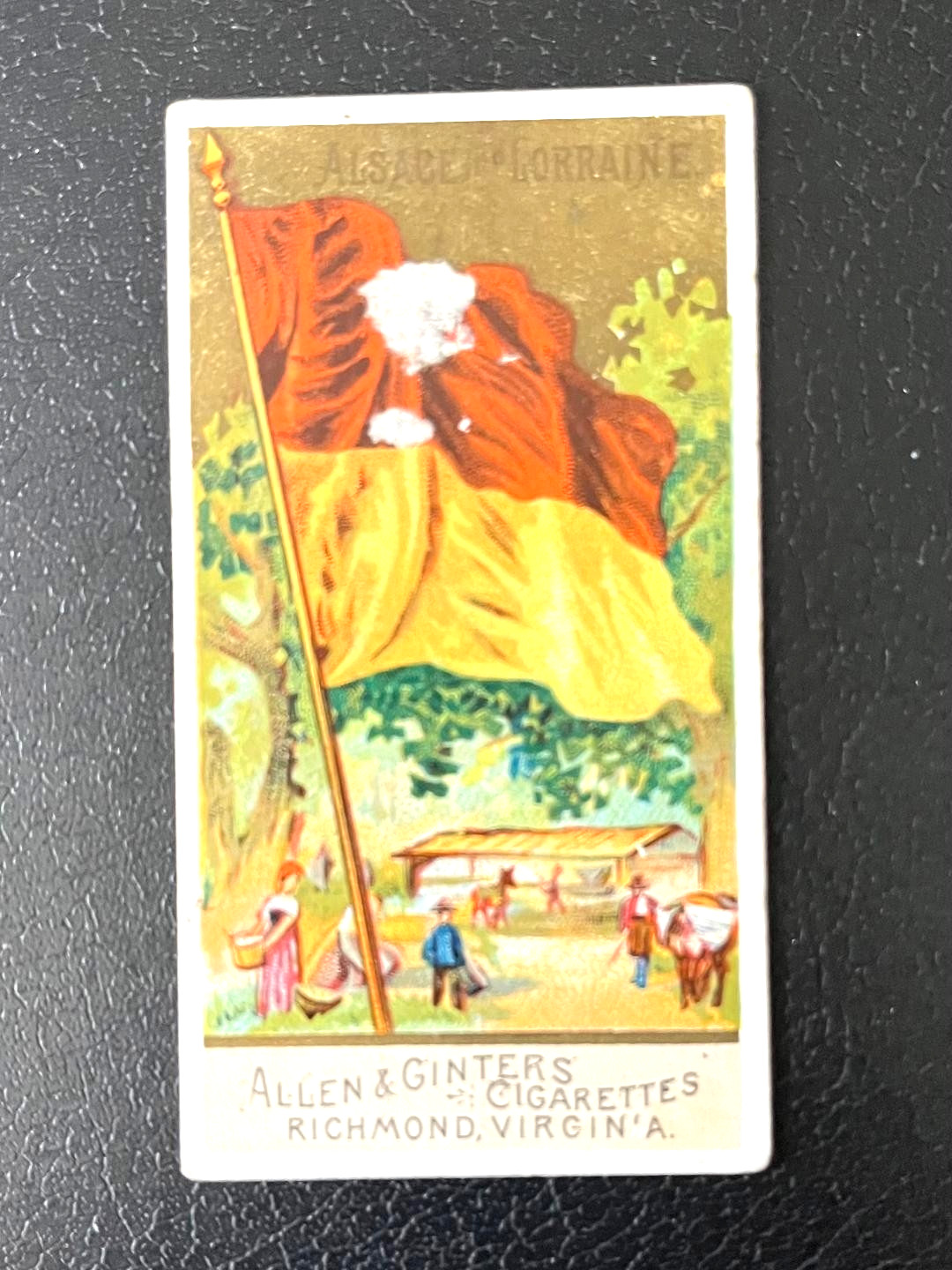 ALLEN & GINTER FLAGS 1888 N9 - YOUR PICK - 