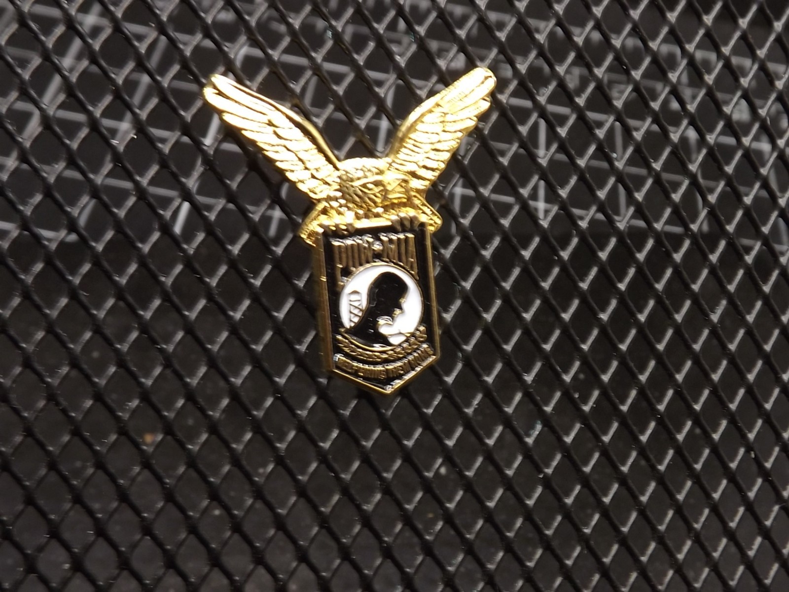P.O.W. Prisoner Of War GOLDEN EAGLE WINGS Lapel Hat Pin Brand New 