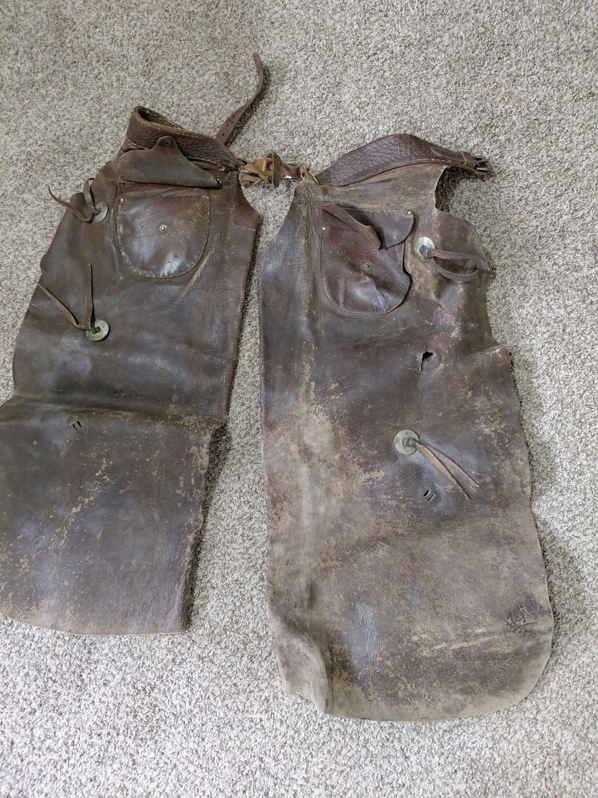 Antique Early 1900s Cowboy Leather Suede Chaps With Conchos Antique Early 1900s Cowboy Leather Suede Chaps With Conchos