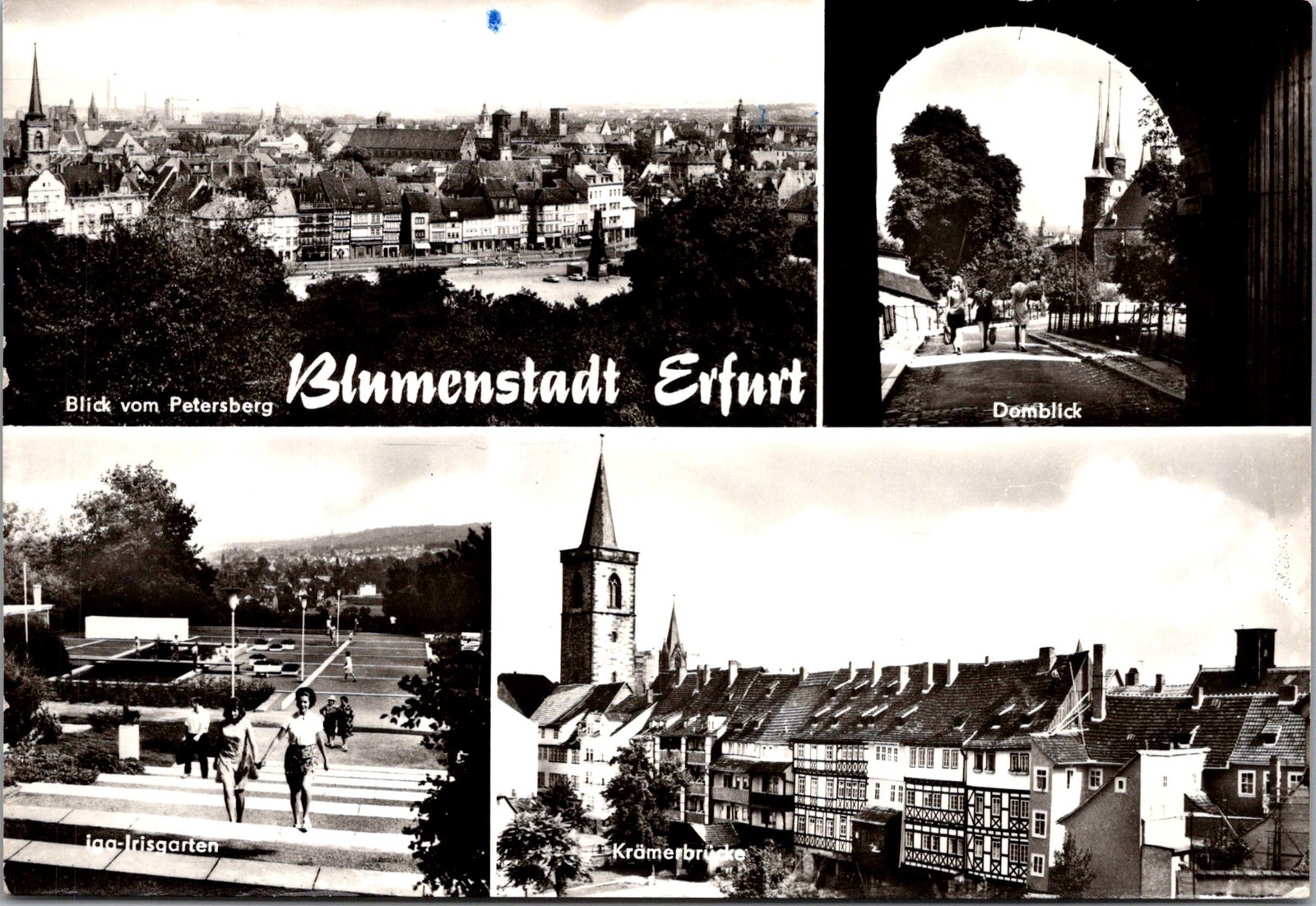 Views Erfurt Germany Featuring Petersberg Krämerbrücke Real Photo RPPC Postcard