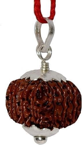 100% Original Nepali Rudraksha Bead, 13 Mukhi, 21mm