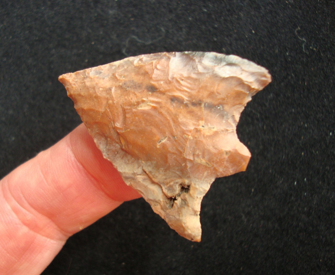 Super Rare BATWING HILLSBOROUGH Deep South Arrowhead ~90~ Super Rare BATWING HILLSBOROUGH Deep South Arrowhead ~90~